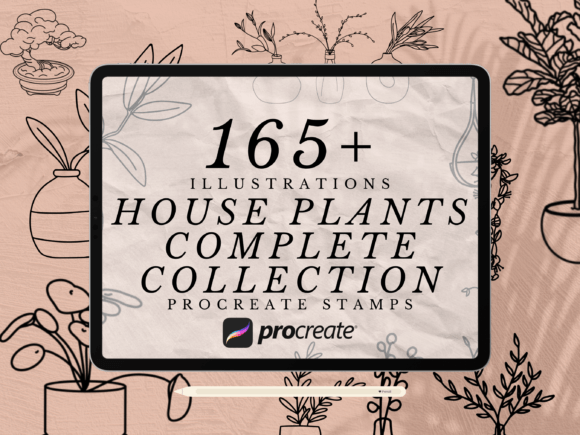 165 House Plants Procreate Stamps