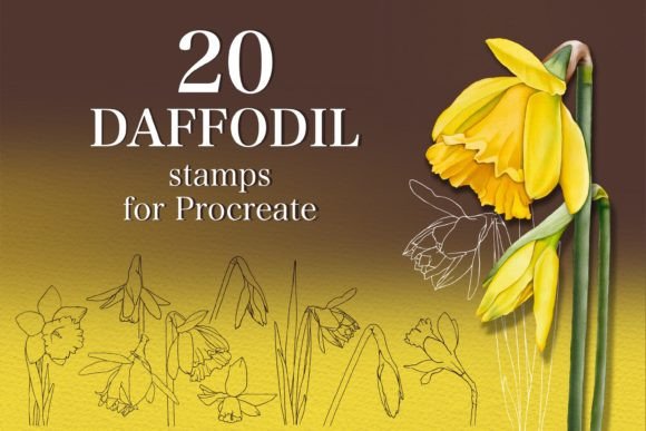 Daffodil Stamps for Procreate: A Practical Guide to Better Digital Art