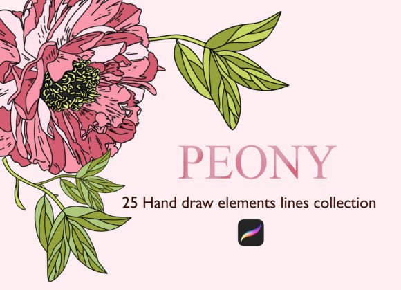 Detailed Peony Stamps Procreate: A Strategic Asset for Digital Artistry
