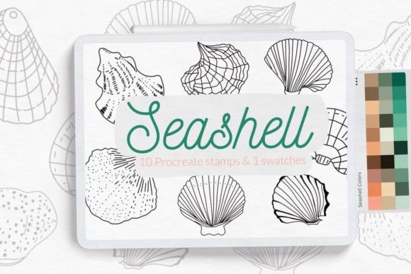 Seashell Stamps for Procreate: Oceanic Design Assets